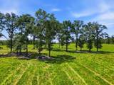 520 Acres Us Hwy 331 N - Photo 64
