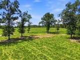 520 Acres Us Hwy 331 N - Photo 67