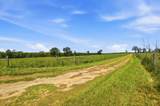 520 Acres Us Hwy 331 N - Photo 9