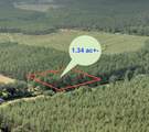 1.34 Acres Hwy 85 - Photo 1