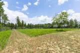 Lot 47 Naturewalk Drive - Photo 4