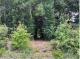 702 Live Oak Street - Photo 3