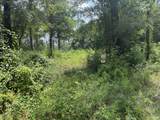 1015 Plantation Lane - Photo 3