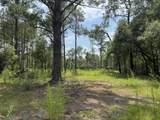 1015 Plantation Lane - Photo 6