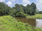 1015 Plantation Lane - Photo 9