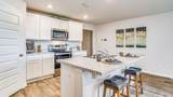 6576 Stonefly Drive - Photo 12