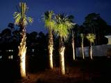 40 Tresca Drive - Photo 43
