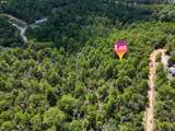 2.84 Acres White Road - Photo 7
