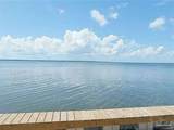 791 Dolphin Road - Photo 6