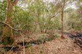 1461 Babe Lawrence Road - Photo 37