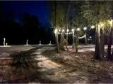 1461 Babe Lawrence Road - Photo 38