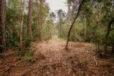 1461 Babe Lawrence Road - Photo 9