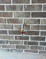 71 Leap Year Lane - Photo 35