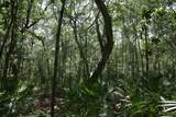 Lot 97 Perseverance Point - Photo 2