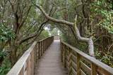 345 Morgans Trail - Photo 71