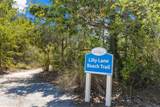 Tract L Naturewalk At Seagrove - Photo 10