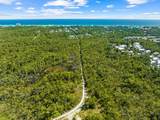 Tract L Naturewalk At Seagrove - Photo 11