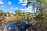 18 Lyonia Lane - Photo 43