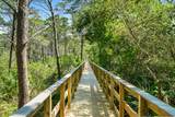 1732 Co. Hwy. 30A - Photo 51