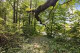 193 Ramsey Branch Road - Photo 31