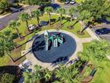 8737 Brown Pelican Circle - Photo 47