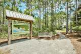 145 Catface Drive - Photo 60