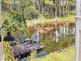 668 Royal Fern Way - Photo 42