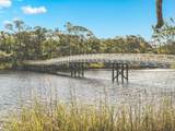 668 Royal Fern Way - Photo 46