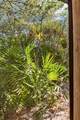 70 Gulf Ridge Drive - Photo 62