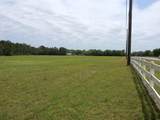 92 Acres State Highway 20 - Photo 13