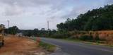 4.19 acres Pj Adams Pkwy - Photo 21