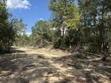 2.31 acres Christopher Lane - Photo 5