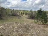 737 Arbor Lake Drive - Photo 38
