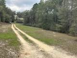 737 Arbor Lake Drive - Photo 41