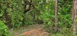 Lot 11 Live Oak Street - Photo 14