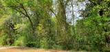 Lot 11 Live Oak Street - Photo 8