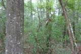 5001 Al Gillman Road Road - Photo 4