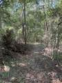 lot 5 Lafayette Creek - Photo 2