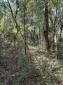 lot 5 Lafayette Creek - Photo 4