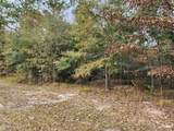 Lot 26 Ten Lake Drive - Photo 3
