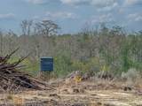 Tract#6409 Davis Road - Photo 2