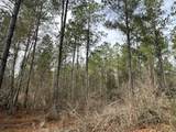 Tract#6301 Love Road - Photo 3