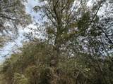 Tract#6301 Love Road - Photo 5