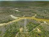 Lot 37 Choctawhatchee River Road - Photo 7