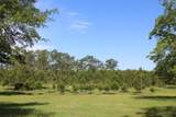 460 Wilkerson Road - Photo 21