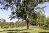 460 Wilkerson Road - Photo 29