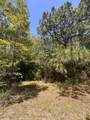 0 King Lake Road - Photo 8