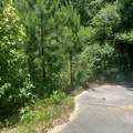 Lot 5 Pleasant Way - Photo 7