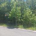 Lot 5 Pleasant Way - Photo 8