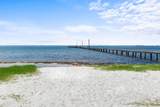 1564 Sunny Oak Street - Photo 3